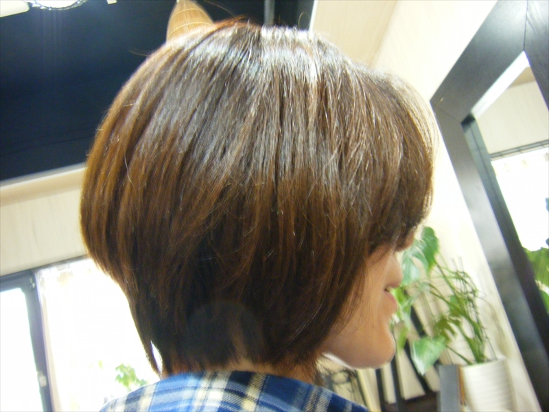 ヘアメニュー一覧　(税込）