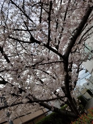 20190405_091823.jpg