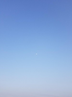 20200504_180826.jpg