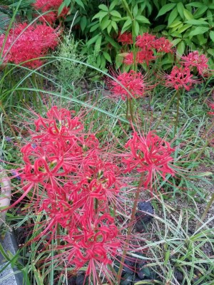 20201004_073607.jpg