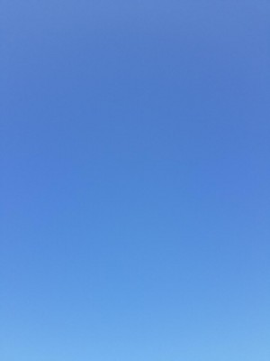 20201014_082547.jpg